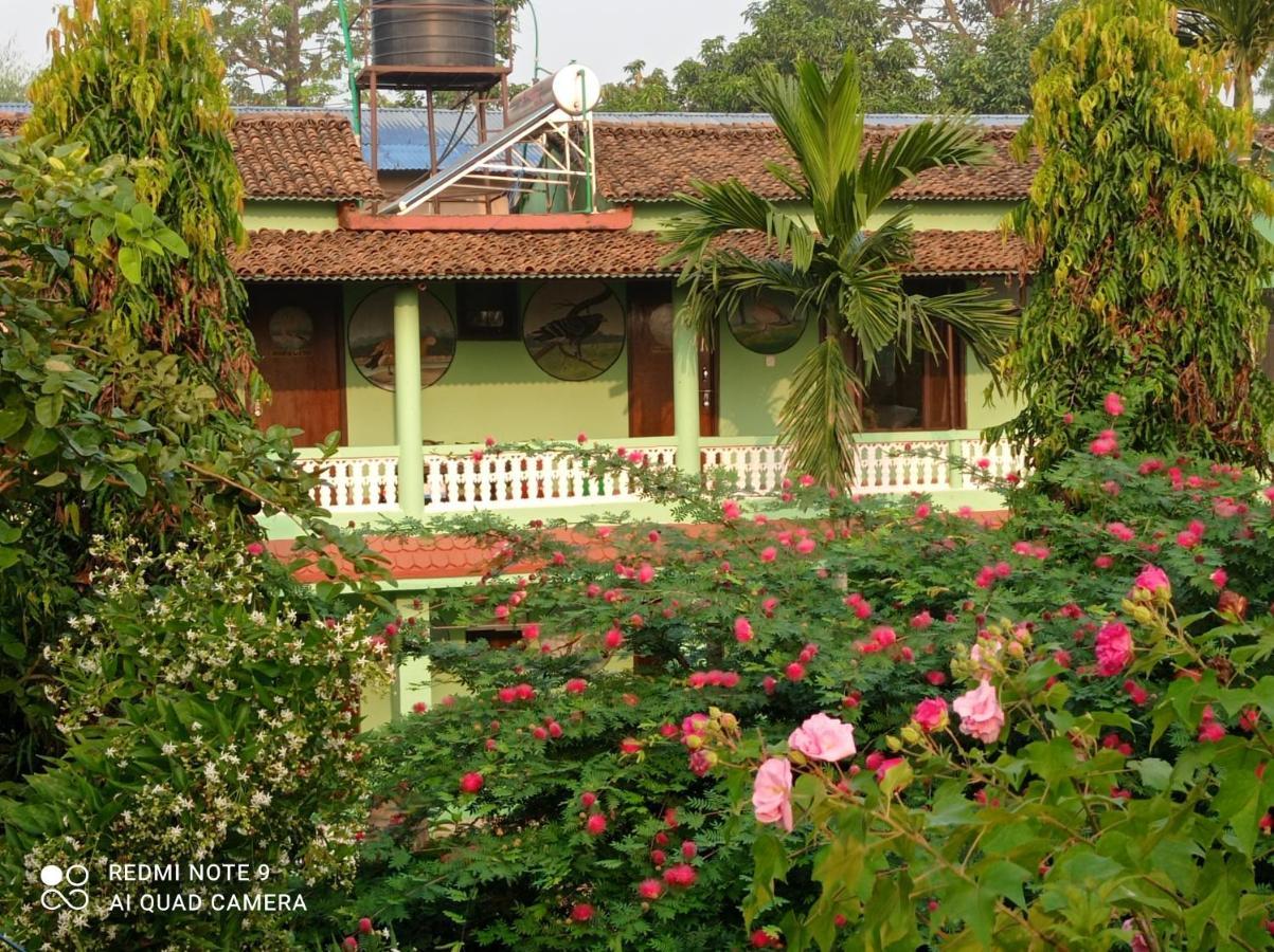 Hotel Rhino Land, Sauraha Exterior foto