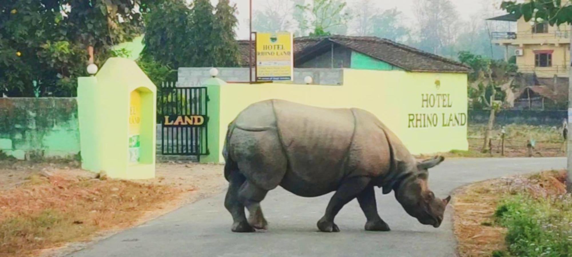 Hotel Rhino Land, Sauraha Exterior foto